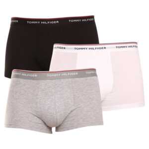 Tommy Hilfiger 3PACK pánské boxerky Tommy Hilfiger vícebarevné (1U87903841 004) M