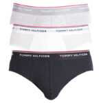 Tommy Hilfiger 3PACK pánské slipy Tommy Hilfiger vícebarevné (1U87903766 004) XL