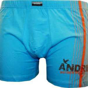 Andrie Pánské boxerky Andrie modré (PS 5048 D) M