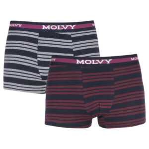 Molvy 2PACK Pánské boxerky Molvy vícebarevné (2MP-312-BEU) M