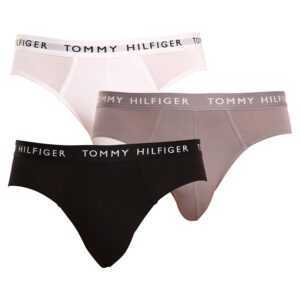 Tommy Hilfiger 3PACK pánské slipy Tommy Hilfiger vícebarevné (UM0UM02206 0TG) M