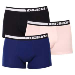 Tommy Hilfiger 3PACK pánské boxerky Tommy Hilfiger vícebarevné (UM0UM02202 0TW) L