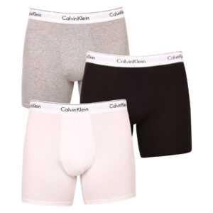 Calvin Klein 3PACK pánské boxerky Calvin Klein vícebarevné (NB2381A-MP1) S