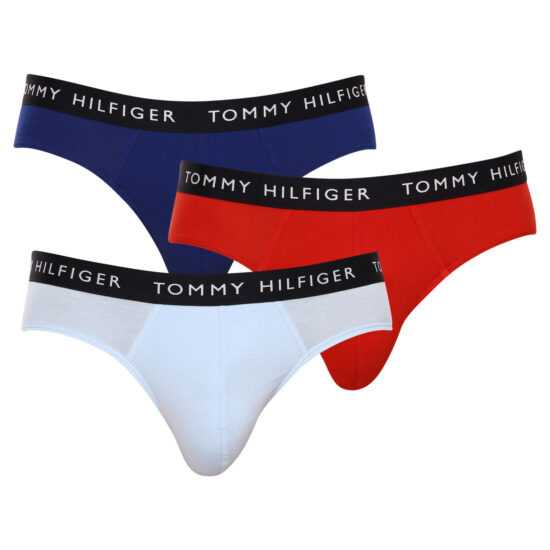 Tommy Hilfiger 3PACK pánské slipy Tommy Hilfiger vícebarevné (UM0UM02206 0SJ) XXL