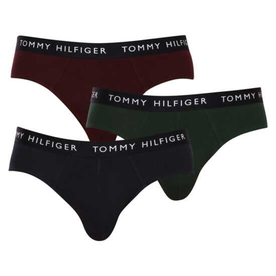 Tommy Hilfiger 3PACK pánské slipy Tommy Hilfiger vícebarevné (UM0UM02206 0UJ) S