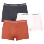 Calvin Klein 3PACK pánské boxerky Calvin Klein vícebarevné (U2664G-6GY) S