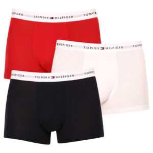 Tommy Hilfiger 3PACK pánské boxerky Tommy Hilfiger vícebarevné (UM0UM02761 0UB) XXL