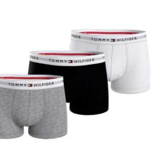 Tommy Hilfiger 3PACK pánské boxerky Tommy Hilfiger vícebarevné (UM0UM02761 0UC) L