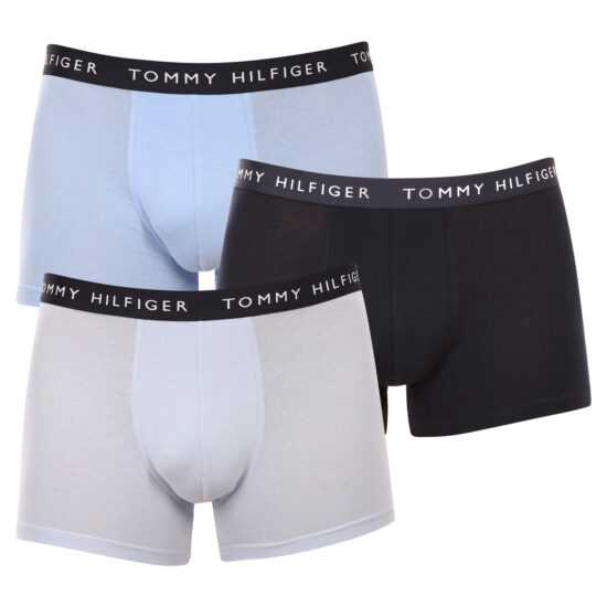 Tommy Hilfiger 3PACK pánské boxerky Tommy Hilfiger vícebarevné (UM0UM02203 0W4) XXL