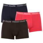 Tommy Hilfiger 3PACK pánské boxerky Tommy Hilfiger vícebarevné (UM0UM02850 0T0) XL