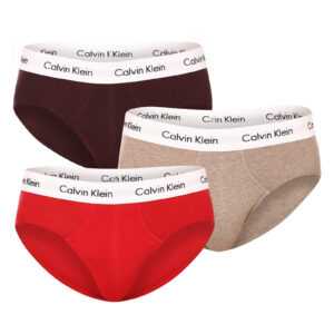 Calvin Klein 3PACK pánské slipy Calvin Klein vícebarevné (U2661G-CAK) S