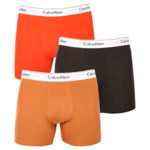 Calvin Klein 3PACK pánské boxerky Calvin Klein vícebarevné (NB2381A-CC5) M