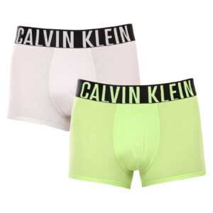 Calvin Klein 2PACK pánské boxerky Calvin Klein vícebarevné (NB2602A-C2D) L