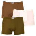 Calvin Klein 3PACK pánské boxerky Calvin Klein vícebarevné (NB3262A-CBW) S