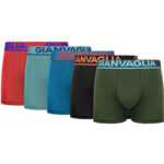 Gianvaglia 5PACK pánské boxerky Gianvaglia vícebarevné (GVG-5009) XXL