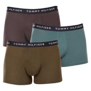 Tommy Hilfiger 3PACK pánské boxerky Tommy Hilfiger vícebarevné (UM0UM02203 0XX) XXL