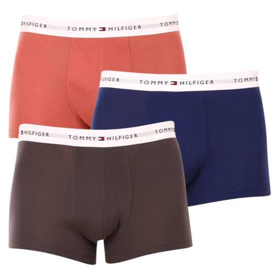 Tommy Hilfiger 3PACK pánské boxerky Tommy Hilfiger vícebarevné (UM0UM02761 0TF) XL